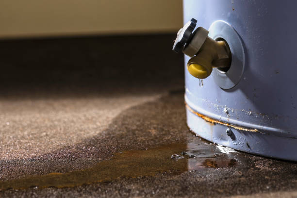 Best Fire Damage Restoration  in Arlington, NE