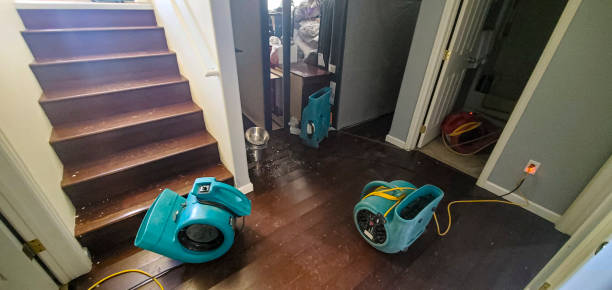 Best Water damage cleanup near me  in Arlington, NE