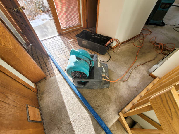 Best 24/7 water damage repair  in Arlington, NE