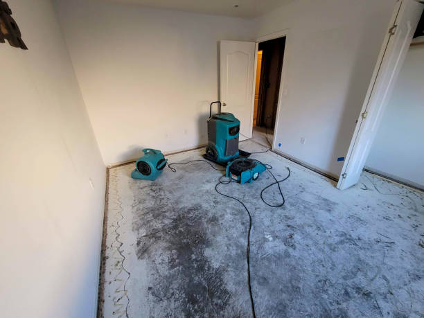 Best Water damage restoration near me  in Arlington, NE