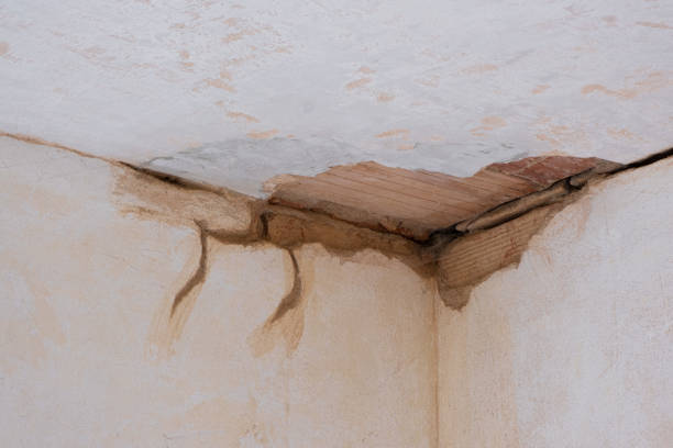 Best Local water damage restoration  in Arlington, NE