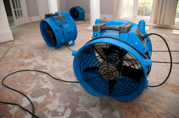 Best Flood restoration services  in Arlington, NE