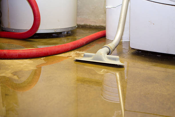 Best Ceiling water damage repair  in Arlington, NE