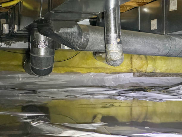 Best 24-hour water damage restoration  in Arlington, NE