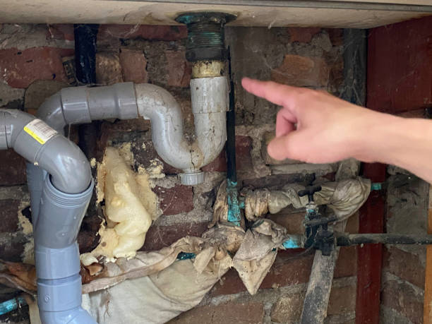  Arlington, NE Water damage restoration Pros
